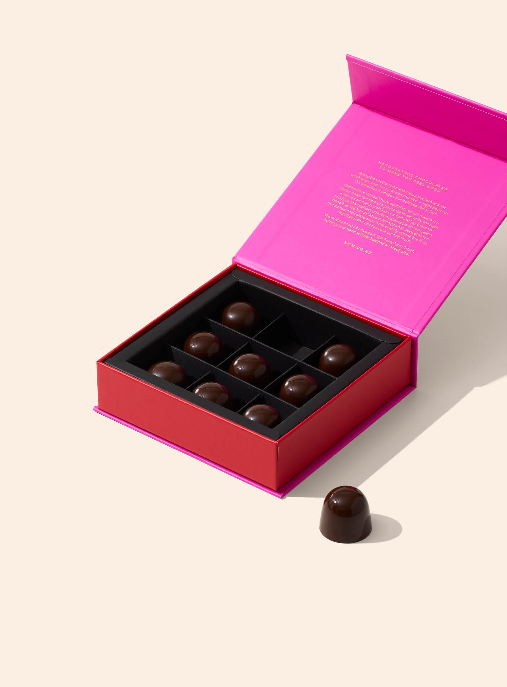 9 Crispy Salted Caramel Praline in Dark Chocolate