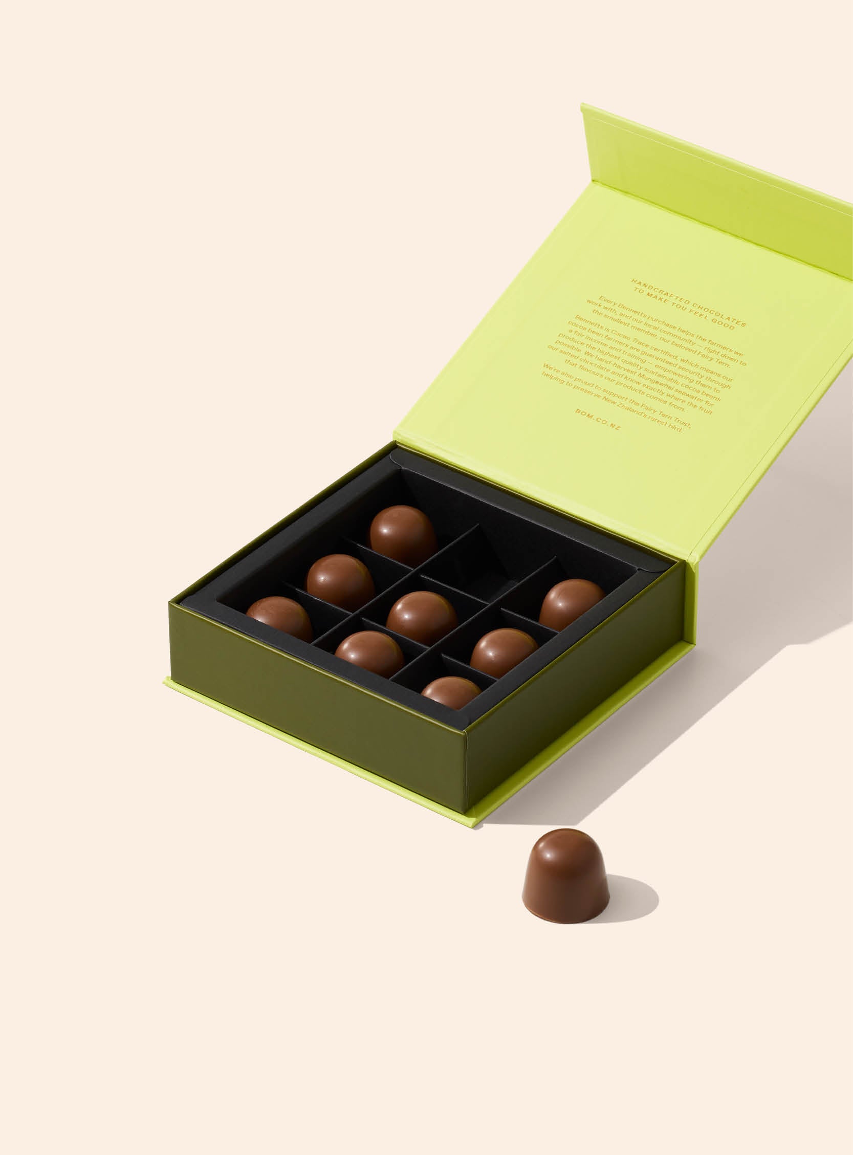 9 Crispy Salted Caramel Praline in Milk Chocolate