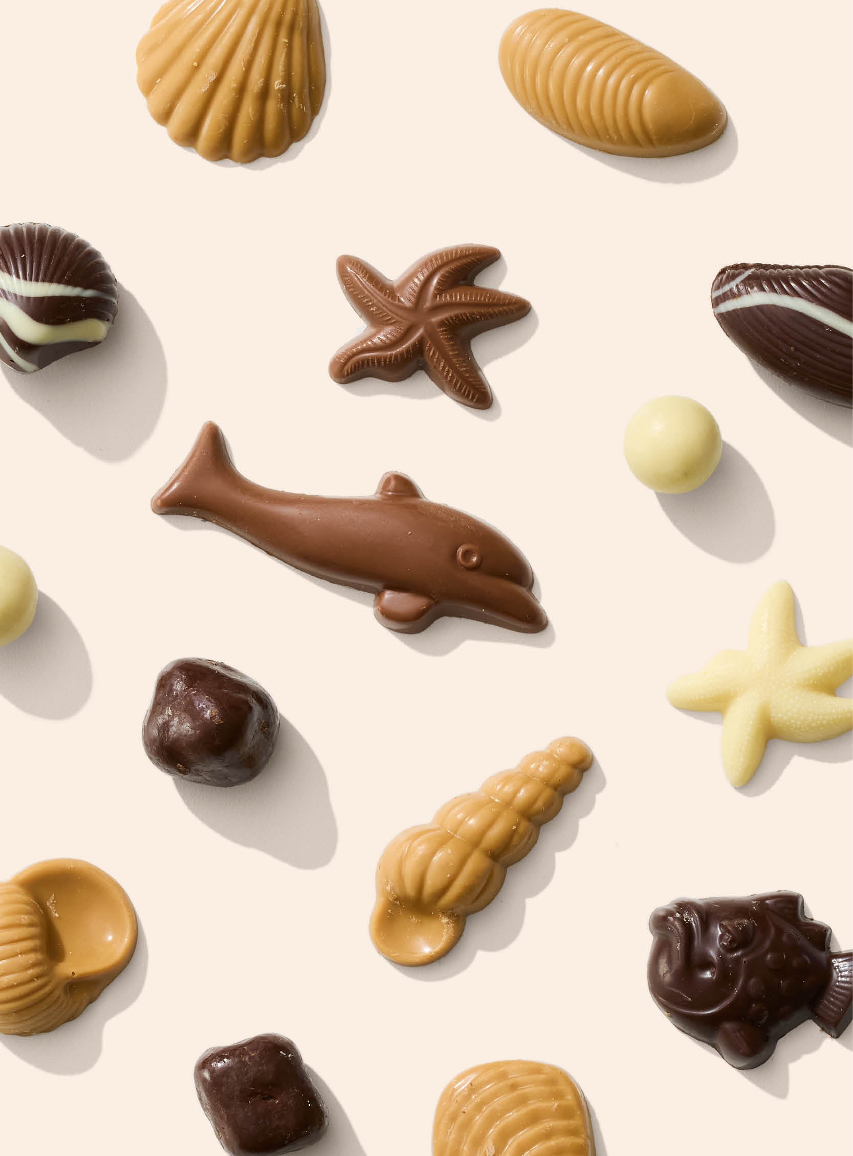 Seashore Collection