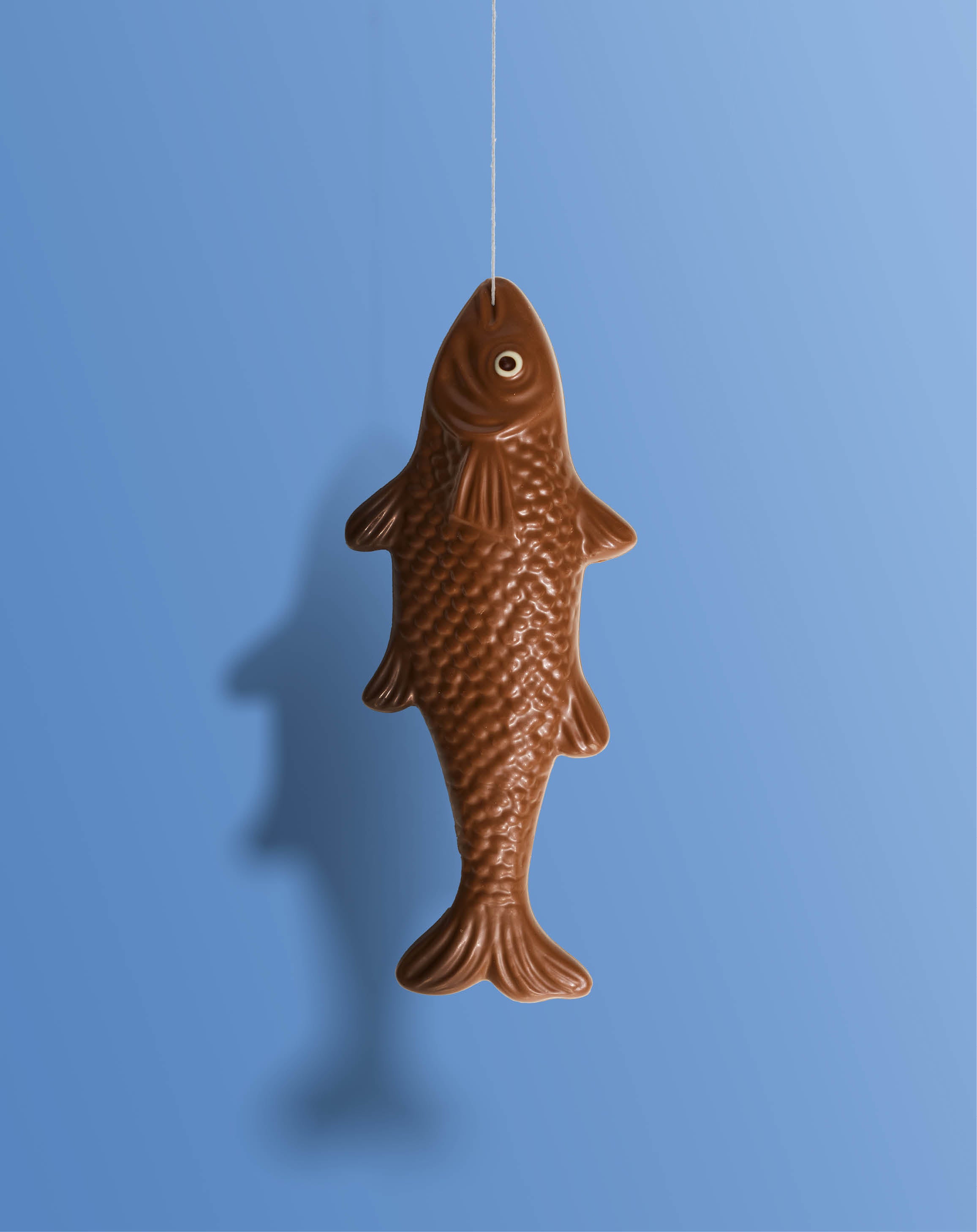 Display Image