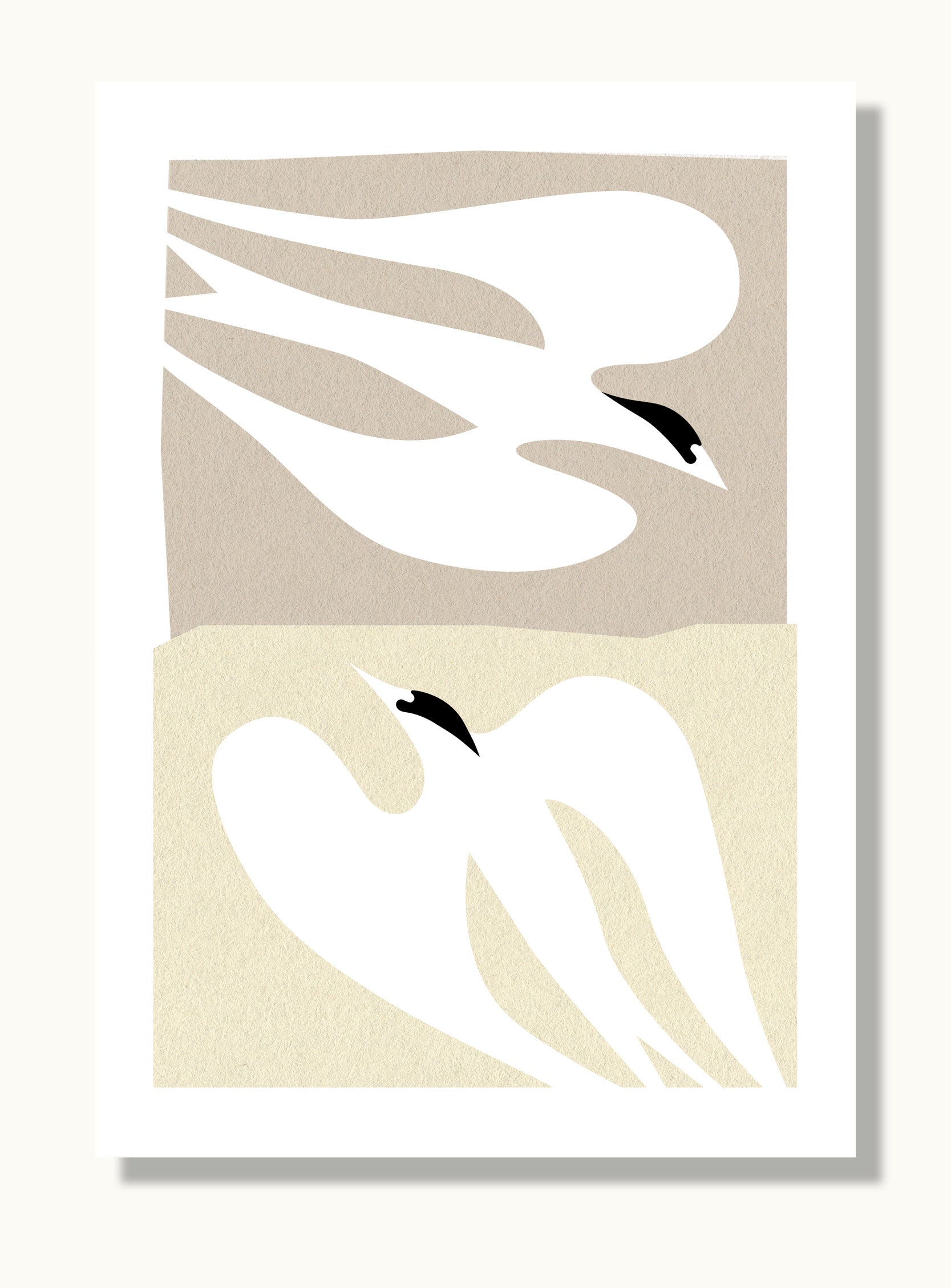 Fairy Tern Greeting Card 1
