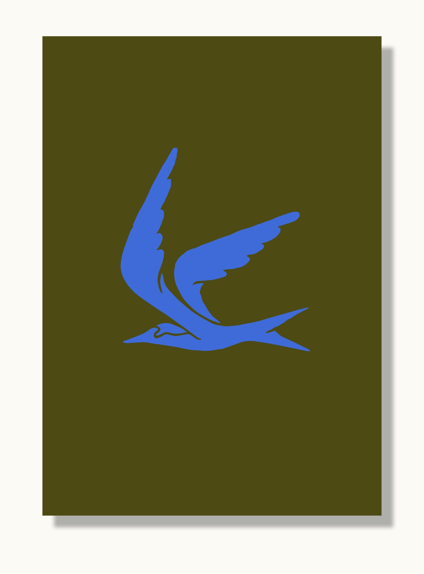 Fairy Tern Greeting Card 2
