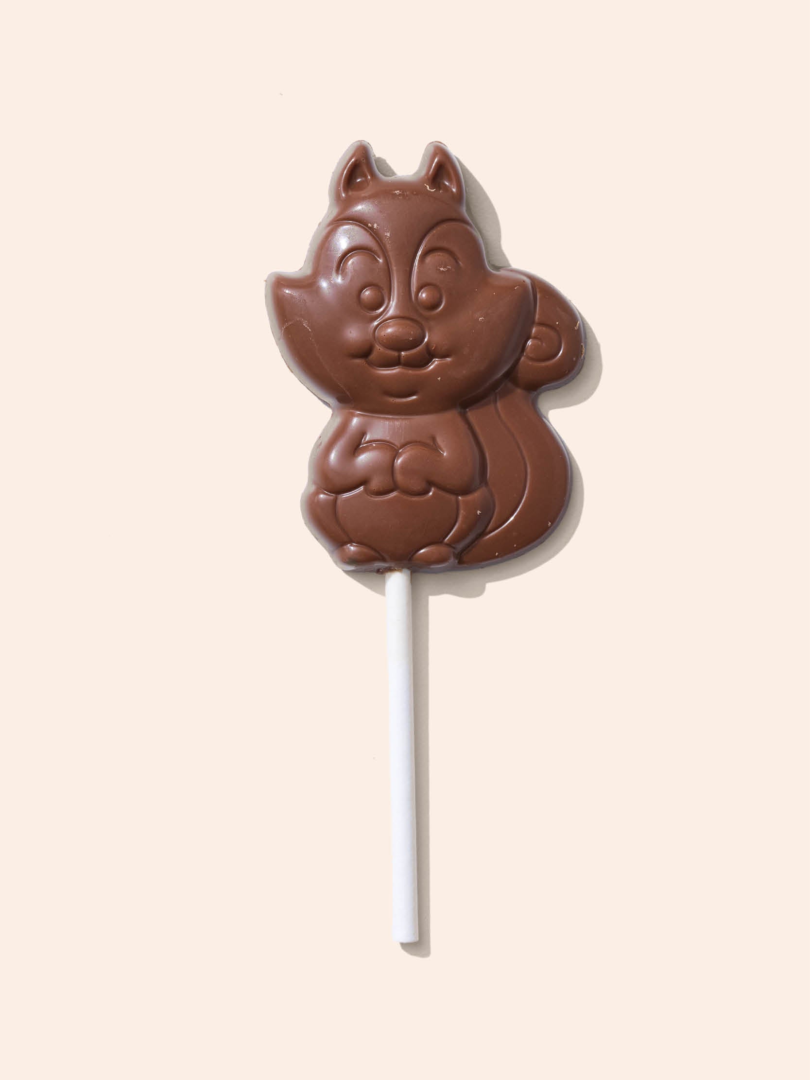 Squirrel Lollipop