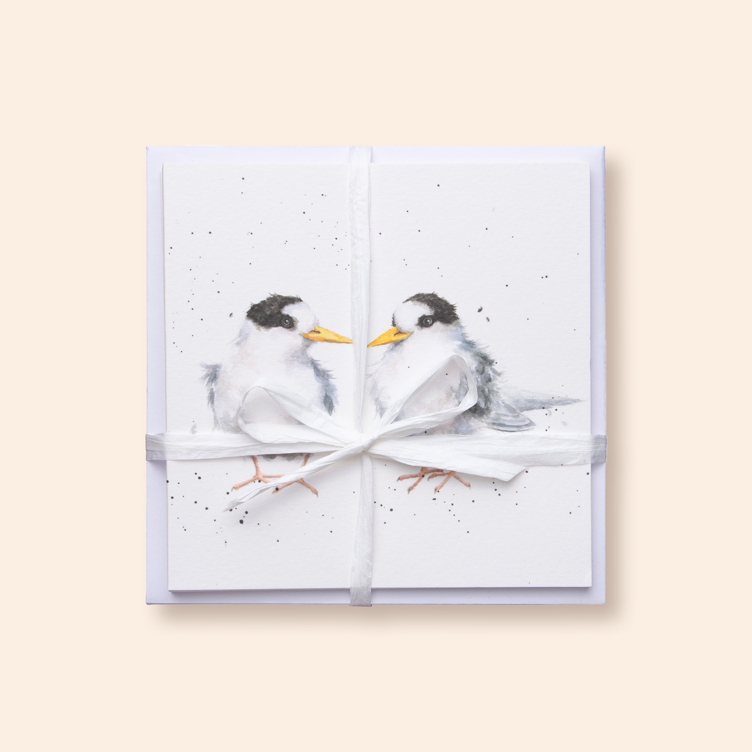 Fairy Tern Greeting Card 5 Pack