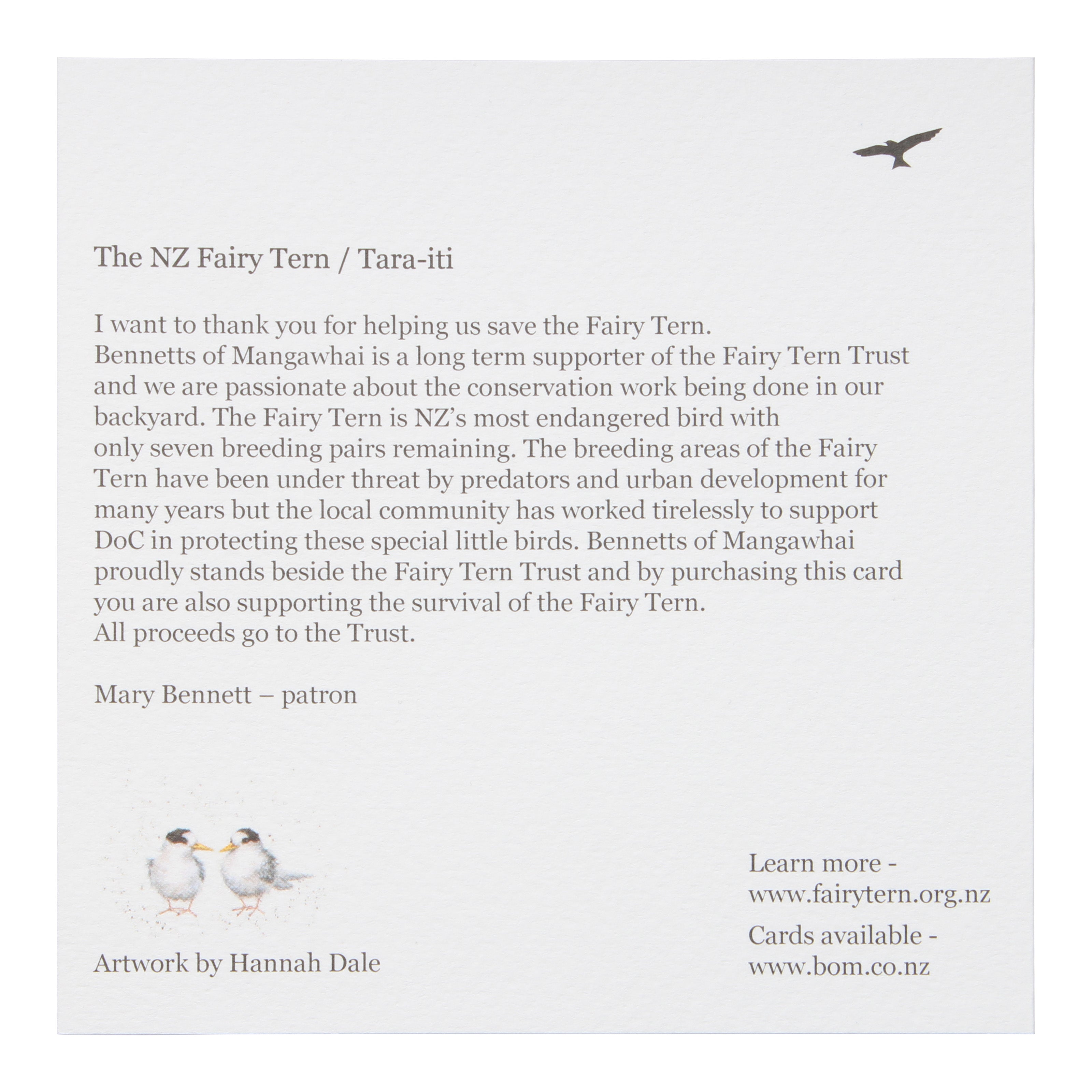 Fairy Tern Greeting Card