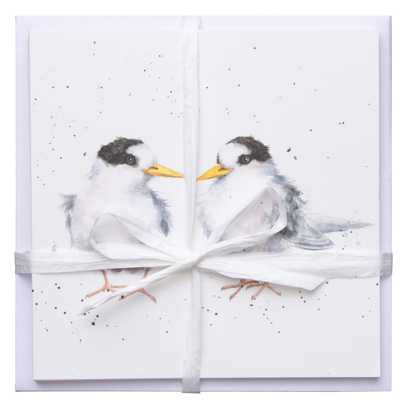 Fairy Tern Greeting Card 6 Pack